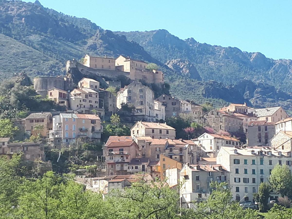 Charmant Studio Dans Residence Neuve Et Calme 코테 외부 사진
